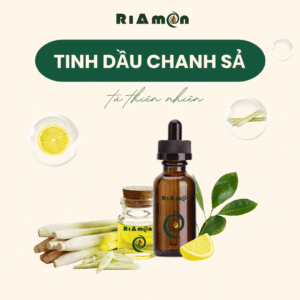 Tinh dầu sả Chanh là gì? Tinh dầu sả Chanh là gì?