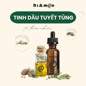 Tinh dầu tuyết tùng