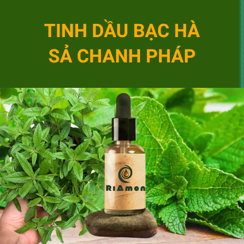 TINH DẦU BẠC HÀ SẢ CHANH PHÁP RIAMON