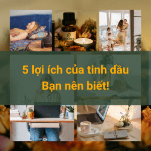 5 lợi ích của tinh dầu RiAmon