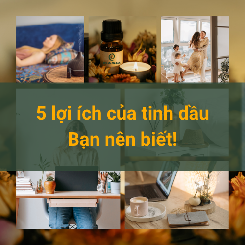5 lợi ích của tinh dầu RiAmon