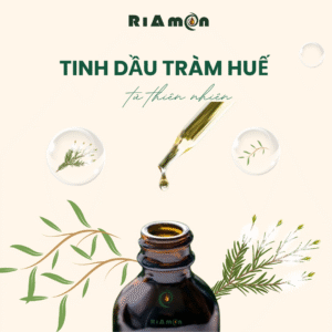 tinh dầu tràm huế