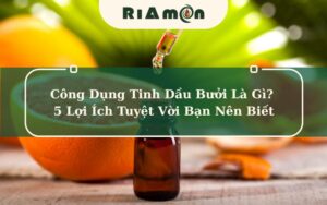 Công Dụng Tinh Dầu Bưởi Là Gì? 5 Lợi Ích Tuyệt Vời Bạn Nên Biết