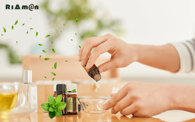 Những lưu ý cần thiết khi sử dụng tinh dầu bạc hà Những lưu ý cần thiết khi sử dụng tinh dầu bạc hà