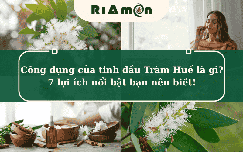 Công dụng của tinh dầu Tràm Huế