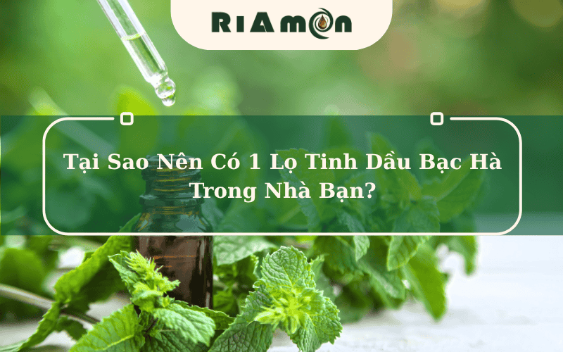Tại sao nên có 1 lọ tinh dầu bạc hà trong nhà bạn