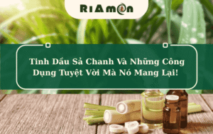 Tinh dầu sả chanh và những công dụng tuyệt vời mà nó mang lại!