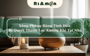 Xông Phòng Bằng Tinh Dầu - Mẹo Thanh Lọc Không Khí Tại Nhà