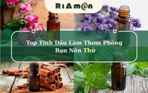 Top Tinh Dầu Làm Thơm Phòng Bạn Nên Thử