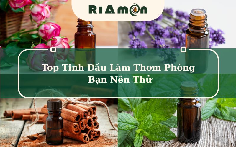 Top Tinh Dầu Làm Thơm Phòng Bạn Nên Thử
