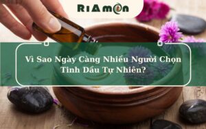 Vì Sao Ngày Càng Nhiều Người Chọn Tinh Dầu Tự Nhiên