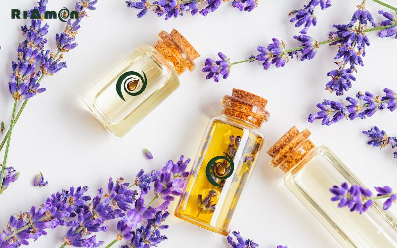 các công dụng nổi bật của tinh dầu hoa oải hương là gì