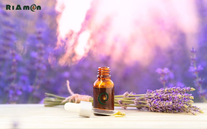 tinh dầu hoa oải hương là gì