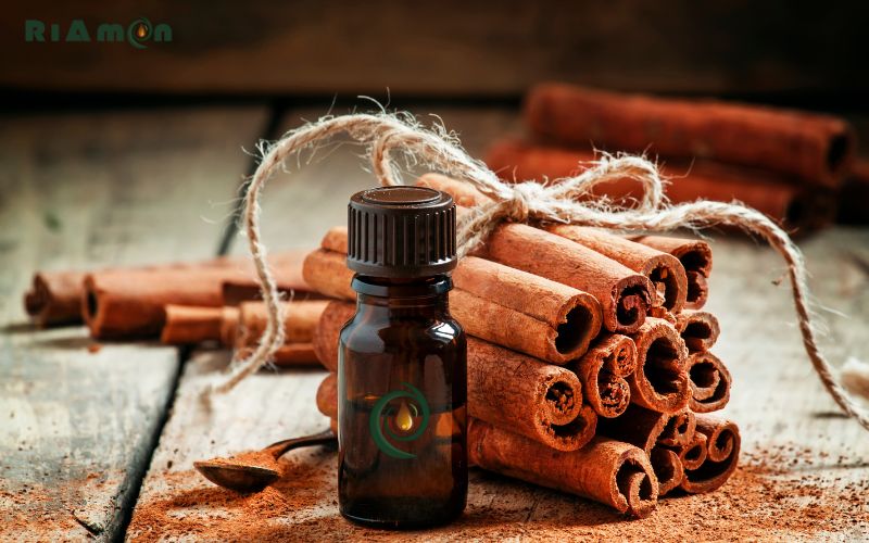 tinh dầu vỏ quế tinh dầu vỏ quế