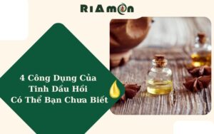 4 Công Dụng Của Tinh Dầu Hồi Có Thể Bạn Chưa Biết