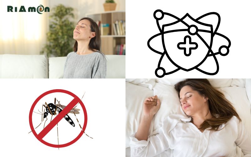 4 Lợi ích xông phòng bằng tinh dầu tràm 4 Lợi ích xông phòng bằng tinh dầu tràm