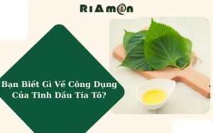 Bạn Biết Gì Về Công Dụng Của Tinh Dầu Tía Tô