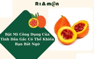 Bật Mí Công Dụng Của Tinh Dầu Gấc Có Thể Khiến Bạn Bất Ngờ