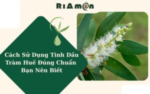 Cách Sử Dụng Tinh Dầu Tràm Huế Đúng Chuẩn Bạn Nên Biết