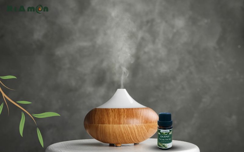 Cách xông phòng bằng tinh dầu tràm hiệu quả Cách xông phòng bằng tinh dầu tràm hiệu quả