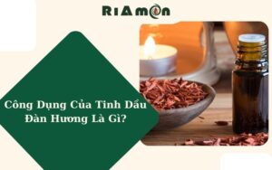 Công Dụng Của Tinh Dầu Đàn Hương Là Gì