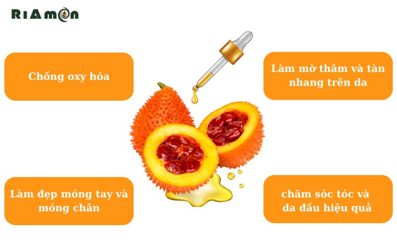 Công dụng của tinh dầu gấc là gì?