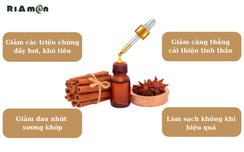 Công dụng của tinh dầu hồi mà bạn nên biết Công dụng của tinh dầu hồi mà bạn nên biết