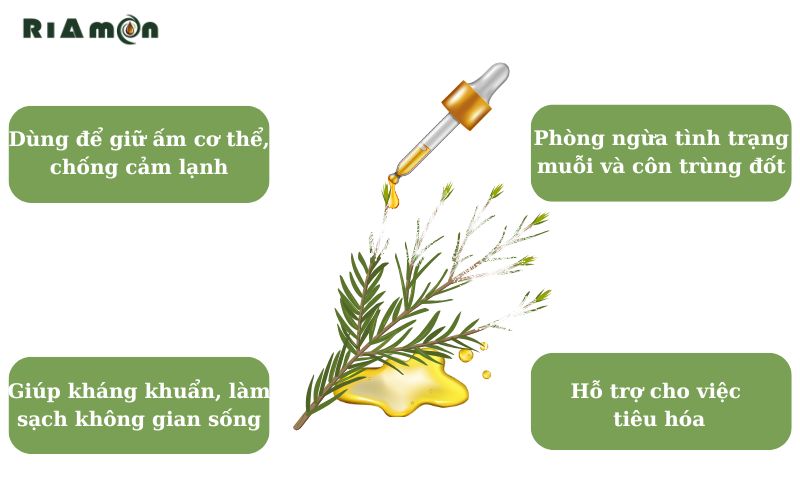 Công dụng của tinh dầu tràm Huế Công dụng của tinh dầu tràm Huế