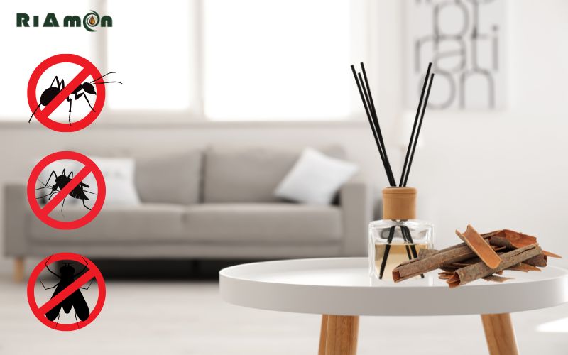 Công dụng của tinh dầu vỏ quế