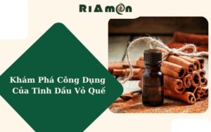 Khám Phá Công Dụng Của Tinh Dầu Vỏ Quế