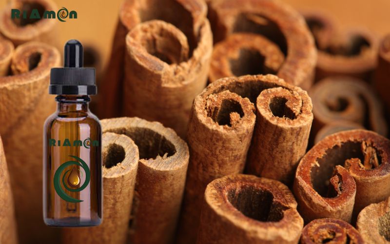 Một số lưu ý khi sử dụng tinh dầu vỏ quế