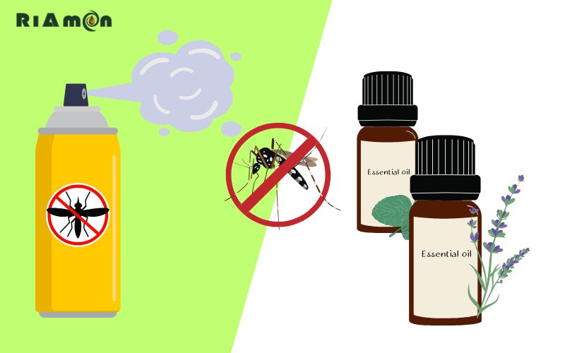 Tại sao nên dùng tinh dầu đuổi muỗi thay vì thuốc xịt hóa học