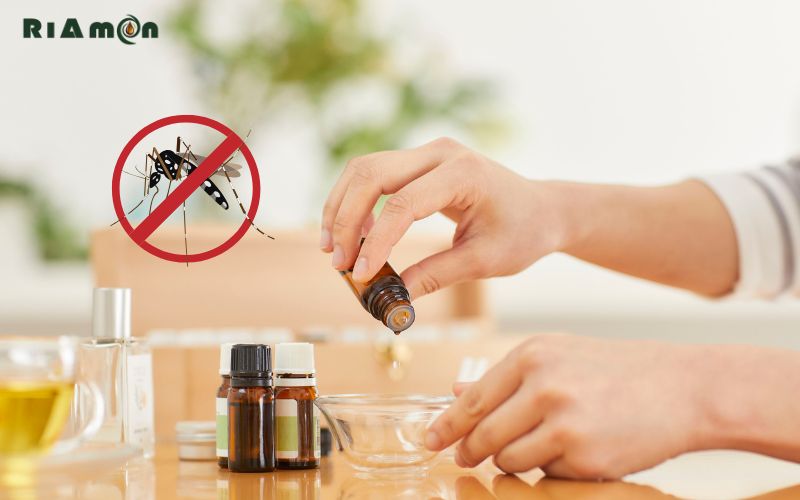 Tinh dầu đuổi muỗi là gì