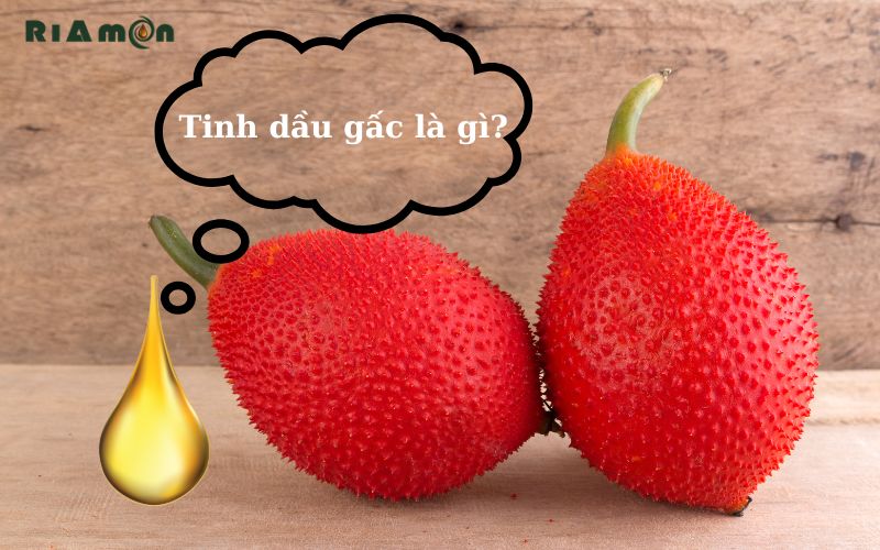 Tinh dầu gấc là gì?