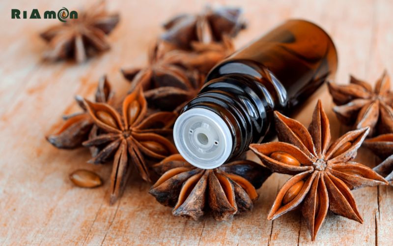 Tinh dầu hồi là gì Tinh dầu hồi là gì