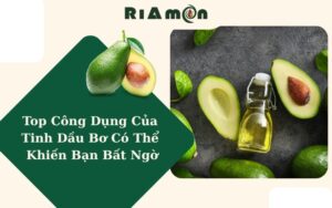Top Công Dụng Của Tinh Dầu Bơ Có Thể Khiến Bạn Bất Ngờ