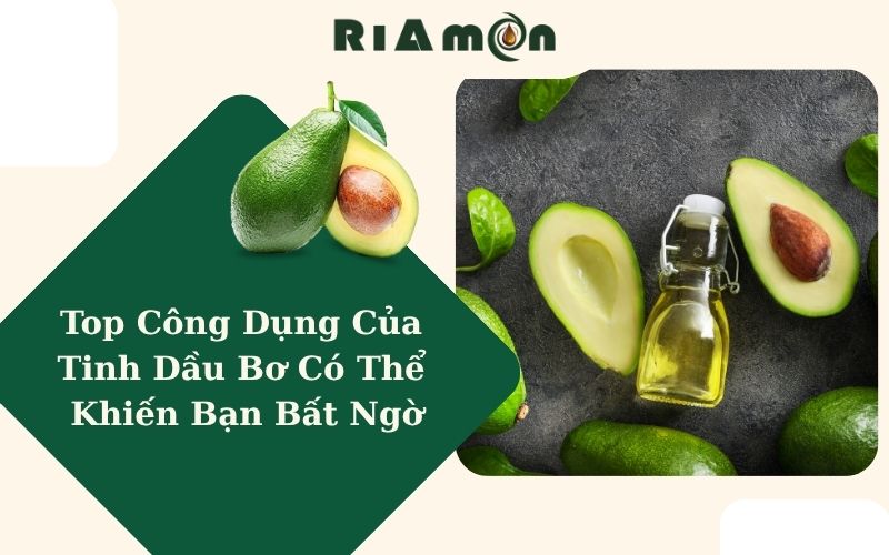 Top Công Dụng Của Tinh Dầu Bơ Có Thể Khiến Bạn Bất Ngờ