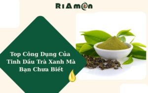 Top Công Dụng Của Tinh Dầu Trà Xanh Mà Bạn Chưa Biết