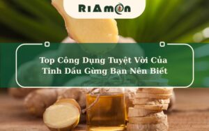 Top Công Dụng Tuyệt Vời Của Tinh Dầu Gừng Bạn Nên Biết (1)