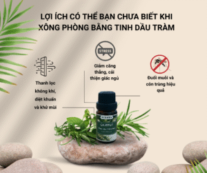 loi-ich-tinh-dau-tram