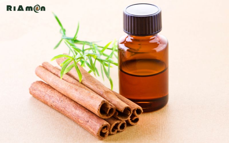 Tinh dầu vỏ quế là gì?