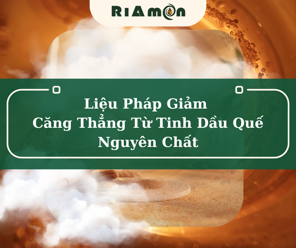 Liệu Pháp Giảm Căng Thẳng Từ Tinh Dầu Quế Nguyên Chất